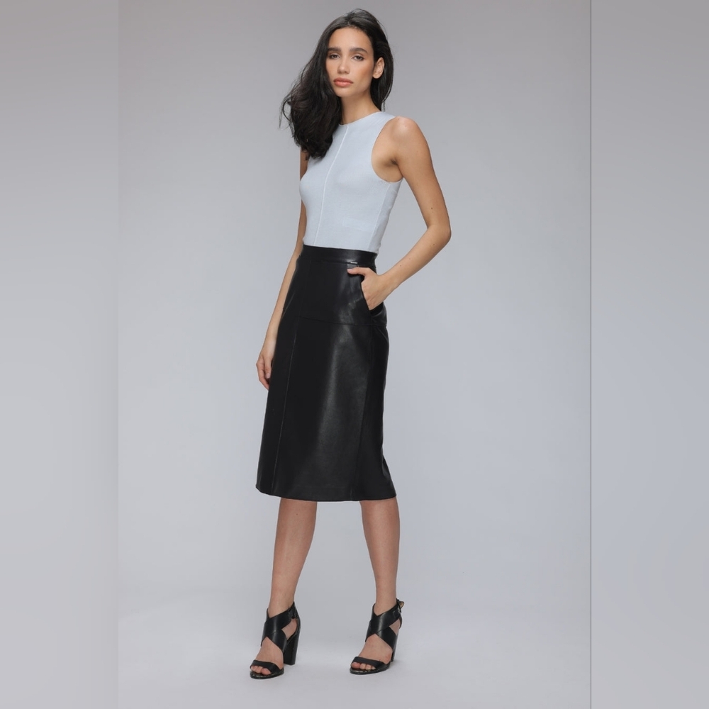 Danier Leather Soraya Elegant Black Pencil Skirt